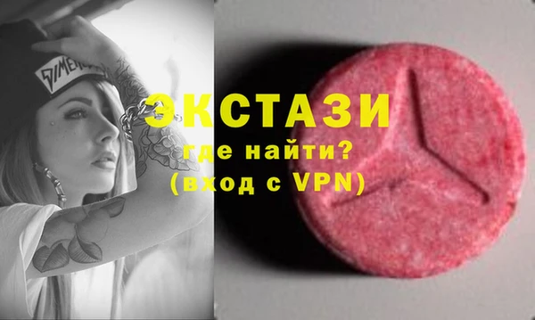 дживик Краснослободск