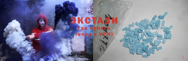 дживик Краснослободск