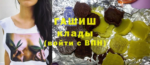 дживик Краснослободск