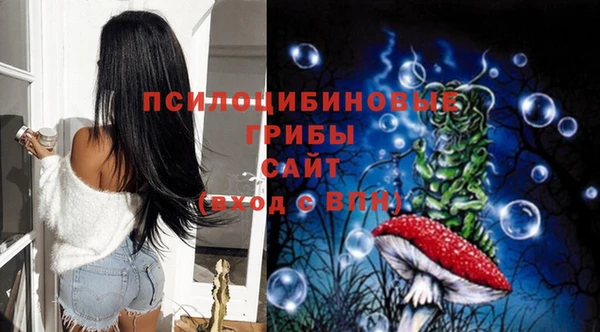 дживик Краснослободск