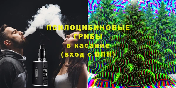 дживик Краснослободск