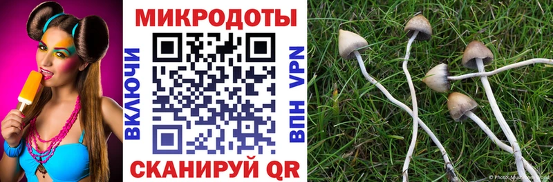 Галлюциногенные грибы прущие грибы  Купить закладки  Малгобек 